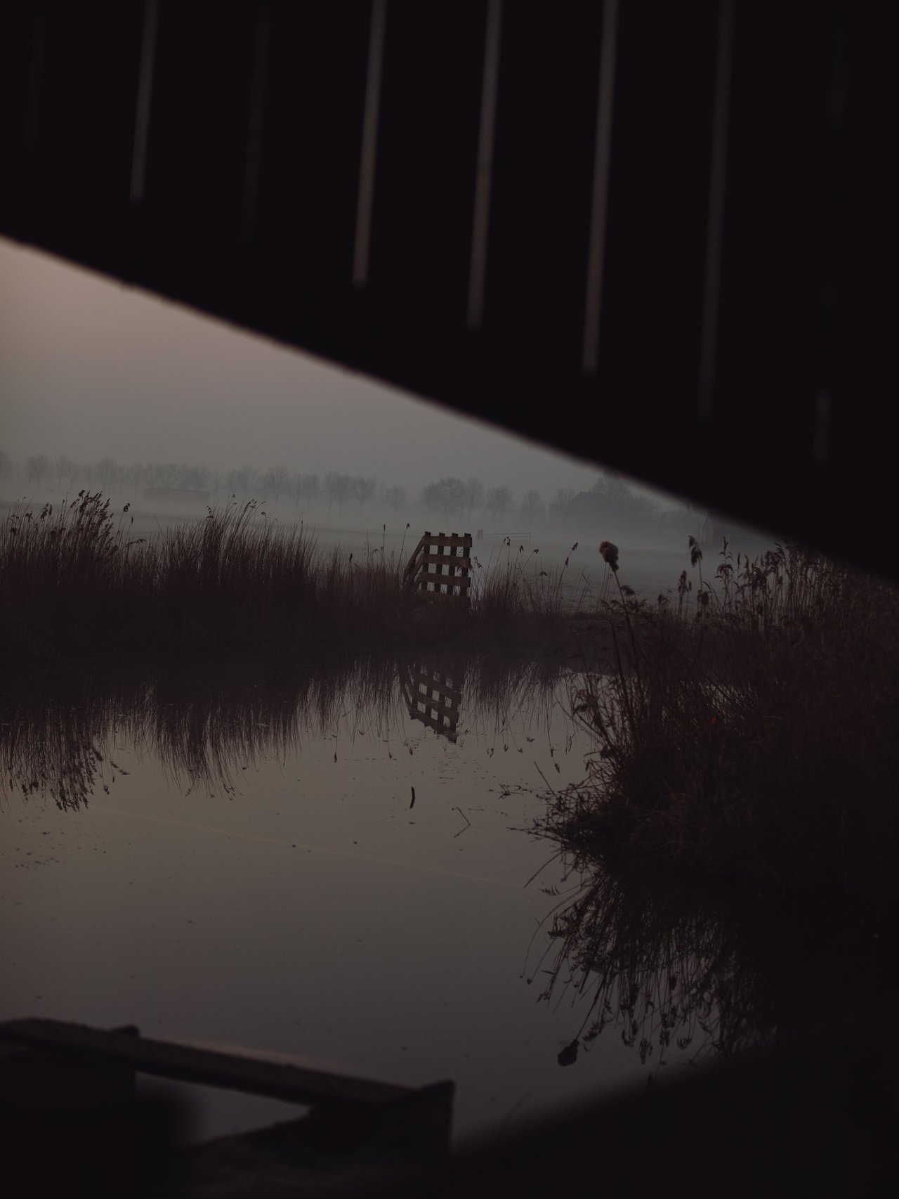 Mistige ochtend aan het water – Broek in Waterland