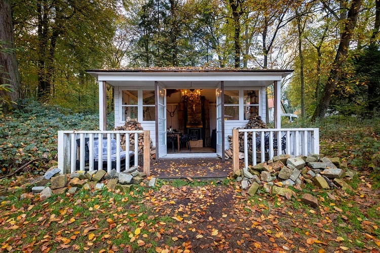 Wildhut  (1)