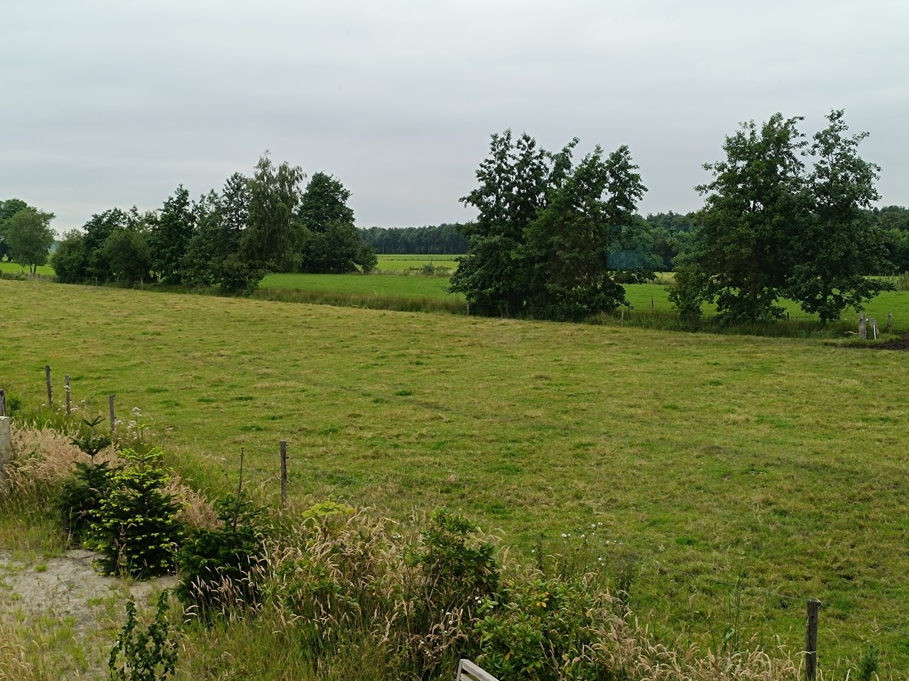 IMG_20240621_154218.jpg