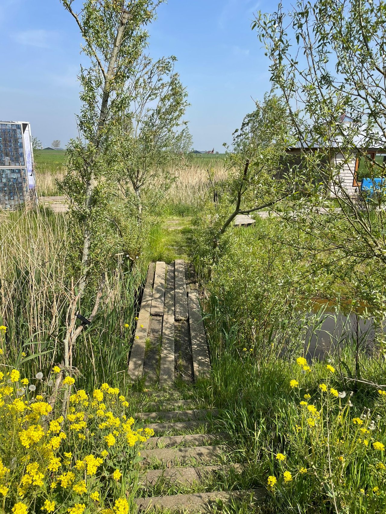 Camping brug