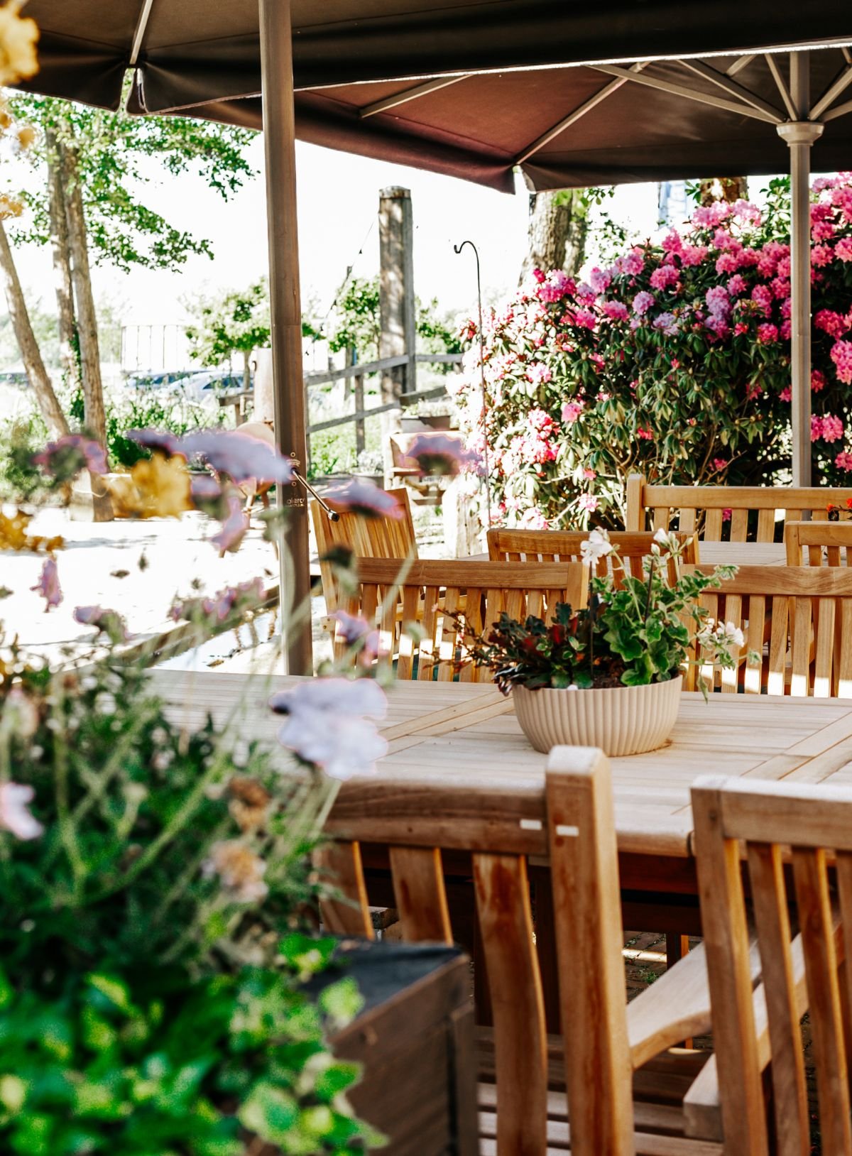 Boerderij-aanzicht-terras.jpg