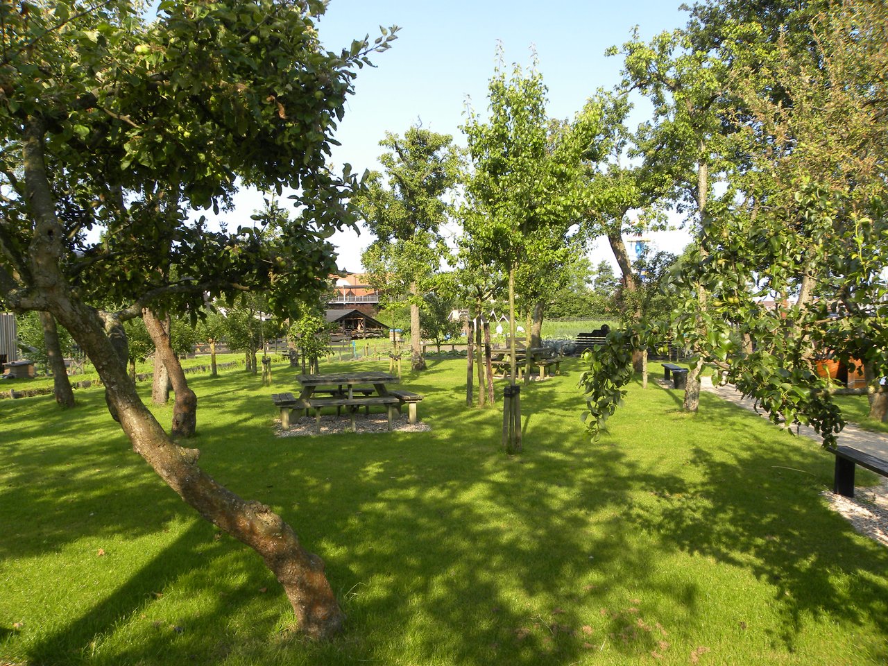 aardappels rooien op het buitenterrein juli 2013 013.jpg
