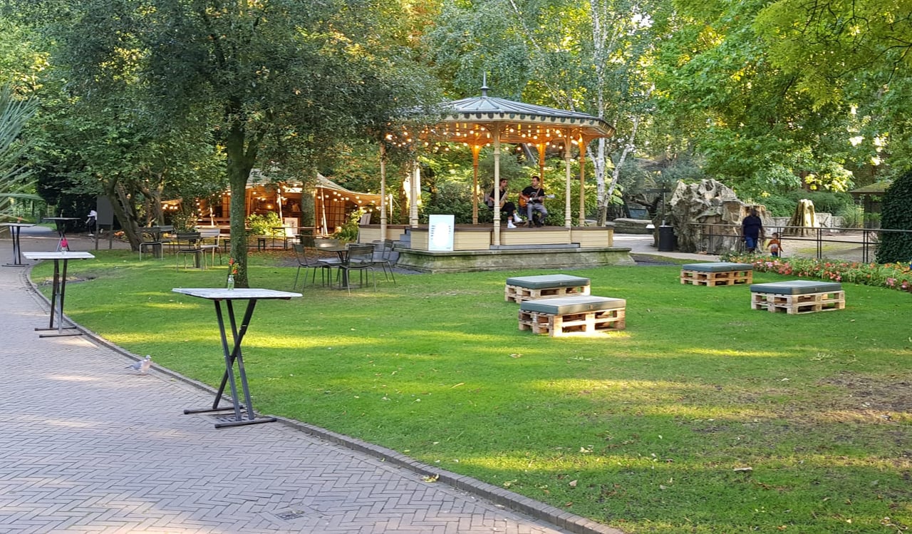 Muziekkoepel Exclusieve Zoomeravond 