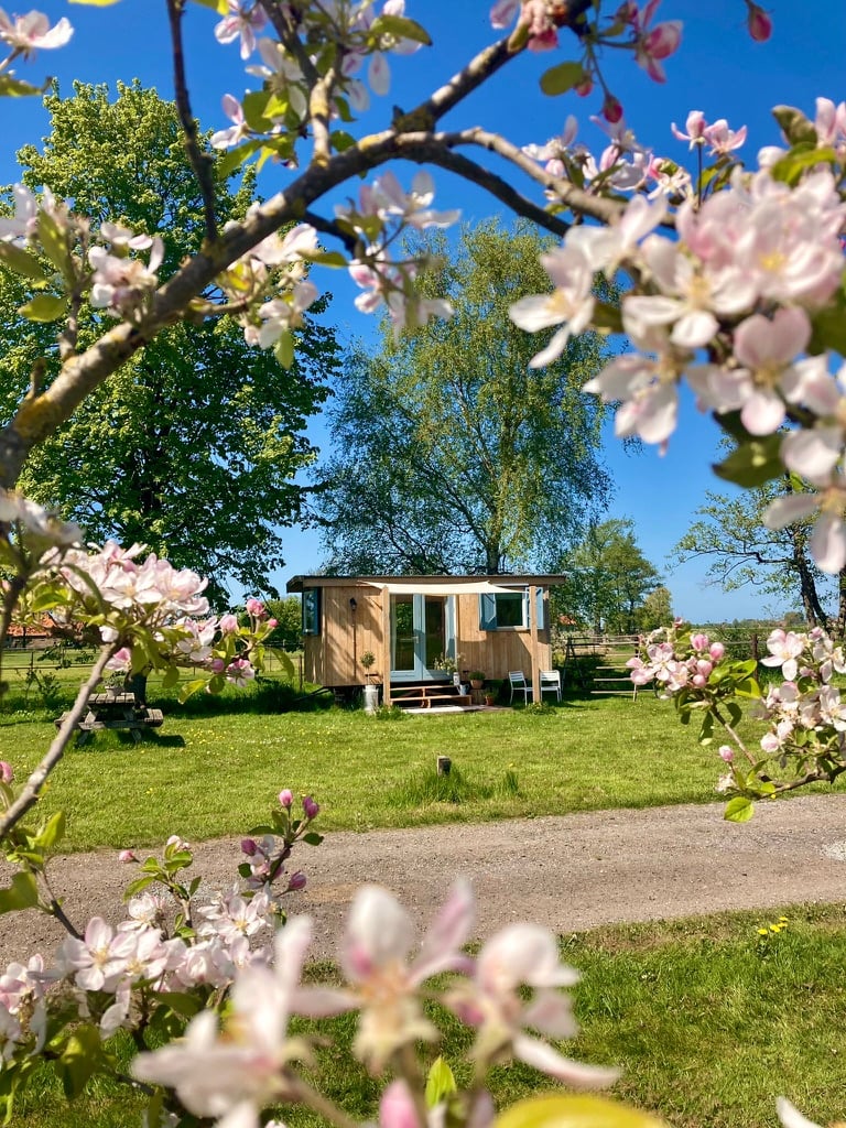 tiny_house_rebarnjpeg