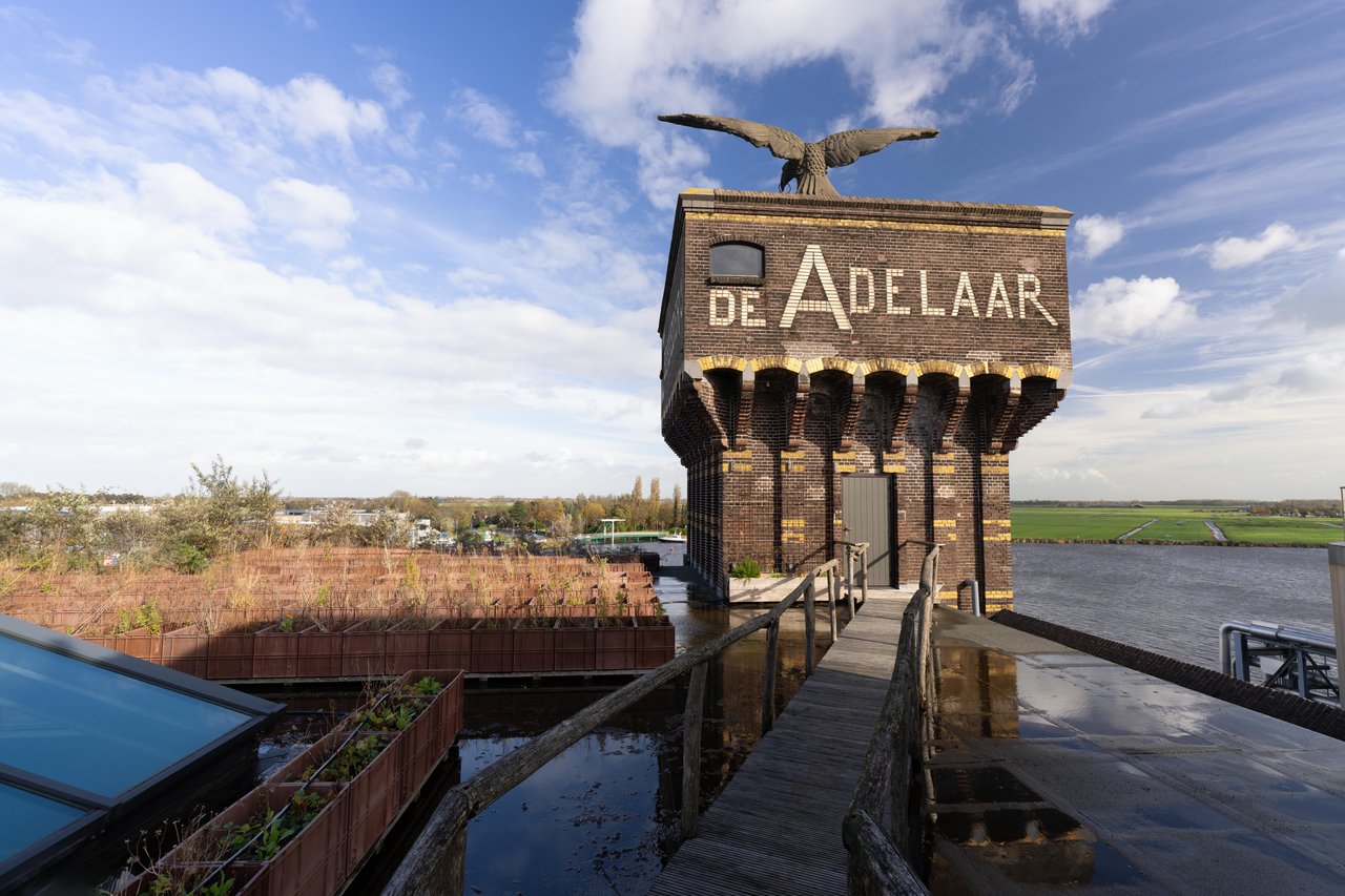 Uitzicht vanaf het dak van De Adelaar