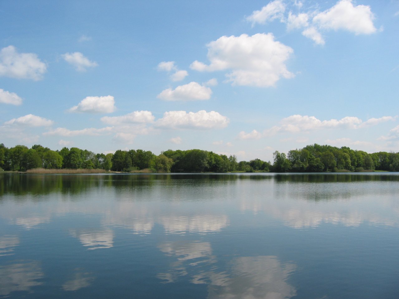 Maarsseveense Plassen   