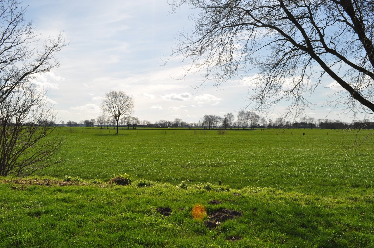 accommodatie meerdaagse heisessie op wei