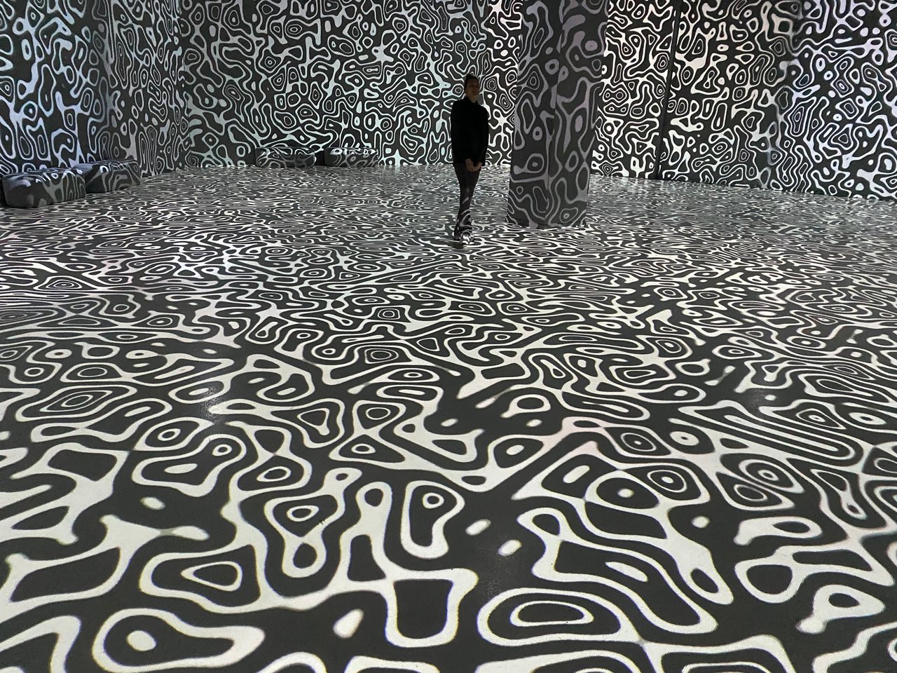 Motion Experience
