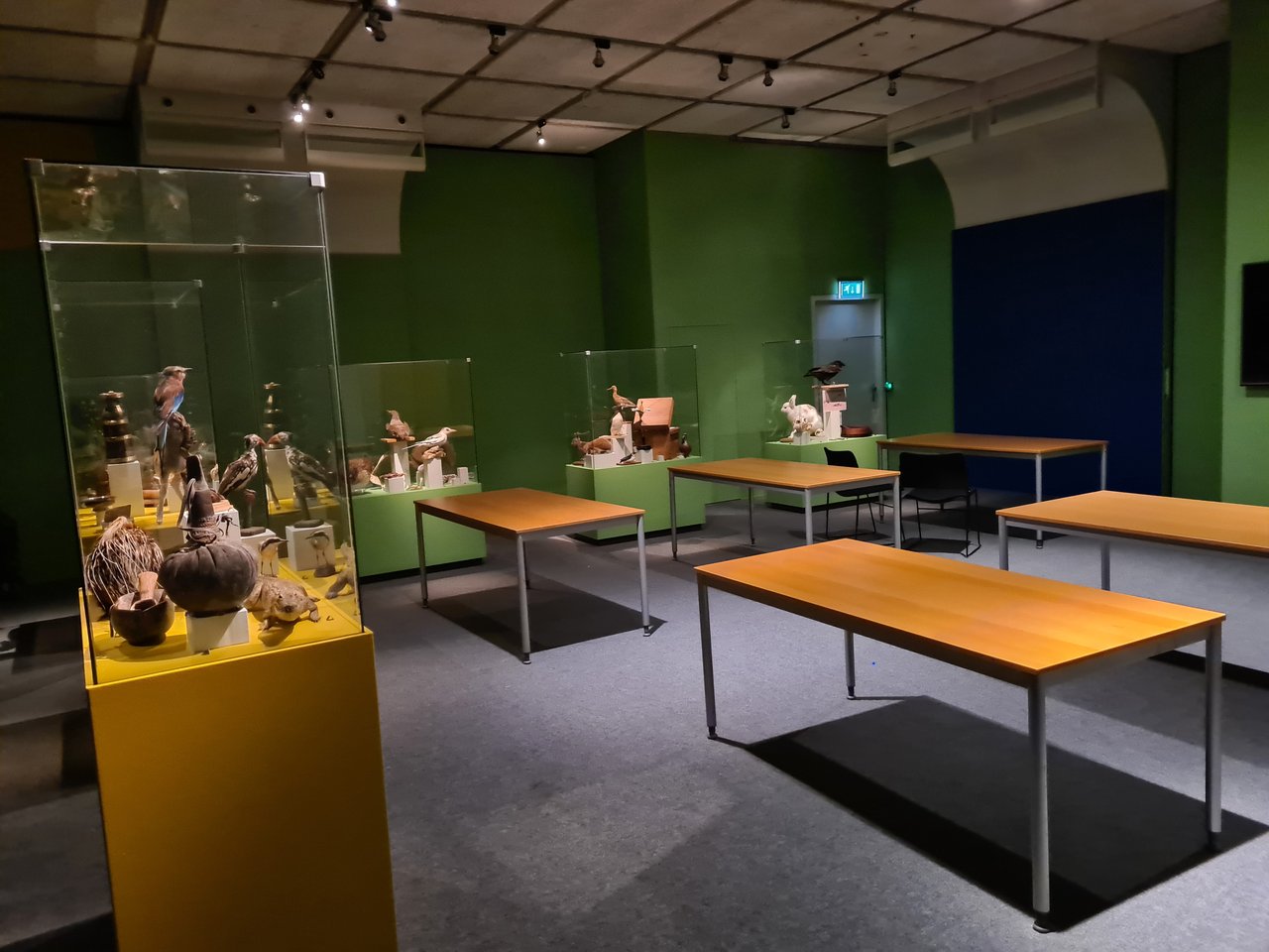 Themazaal ontdek de wereld