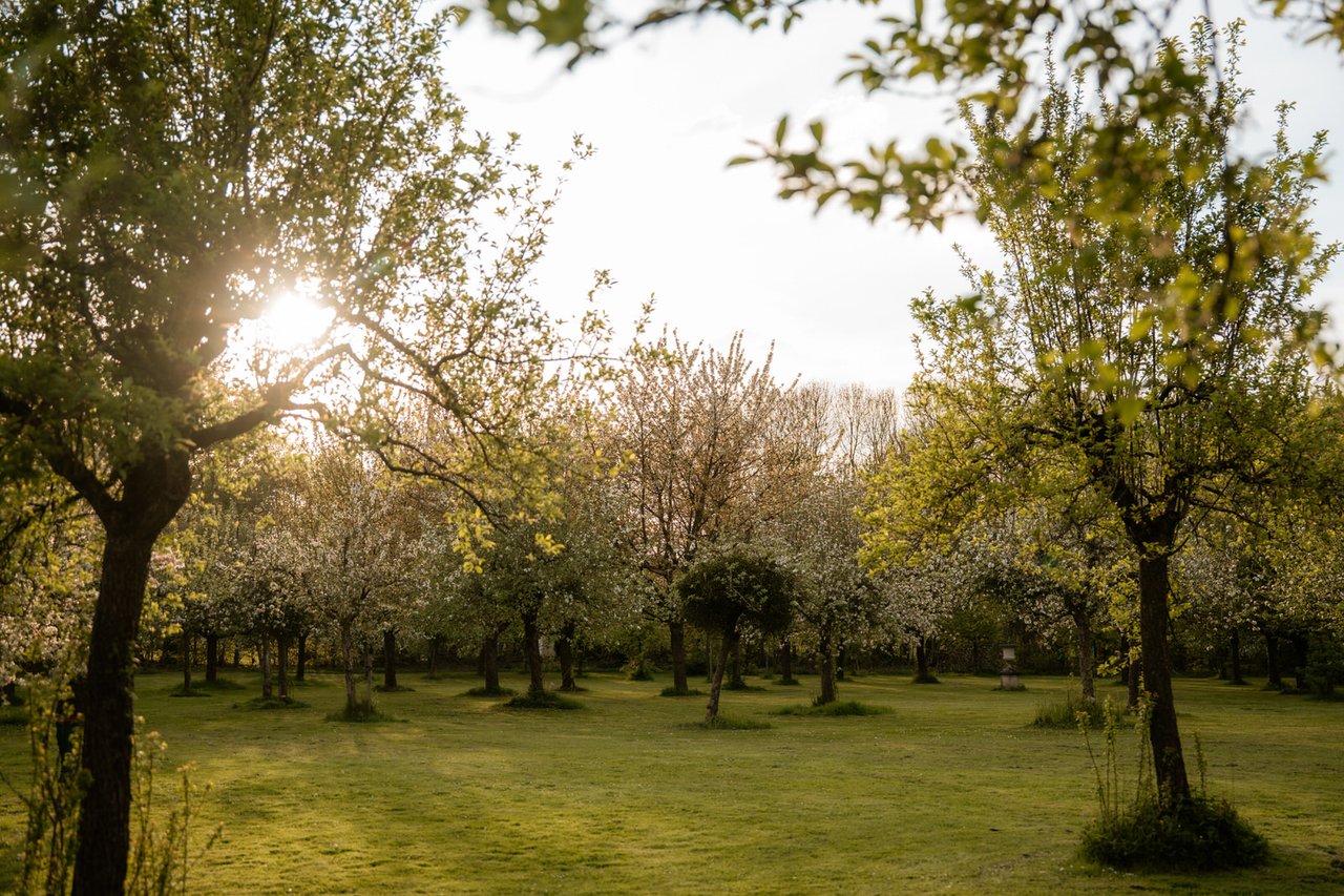 Fruitgaard van Château St. Gerlach
