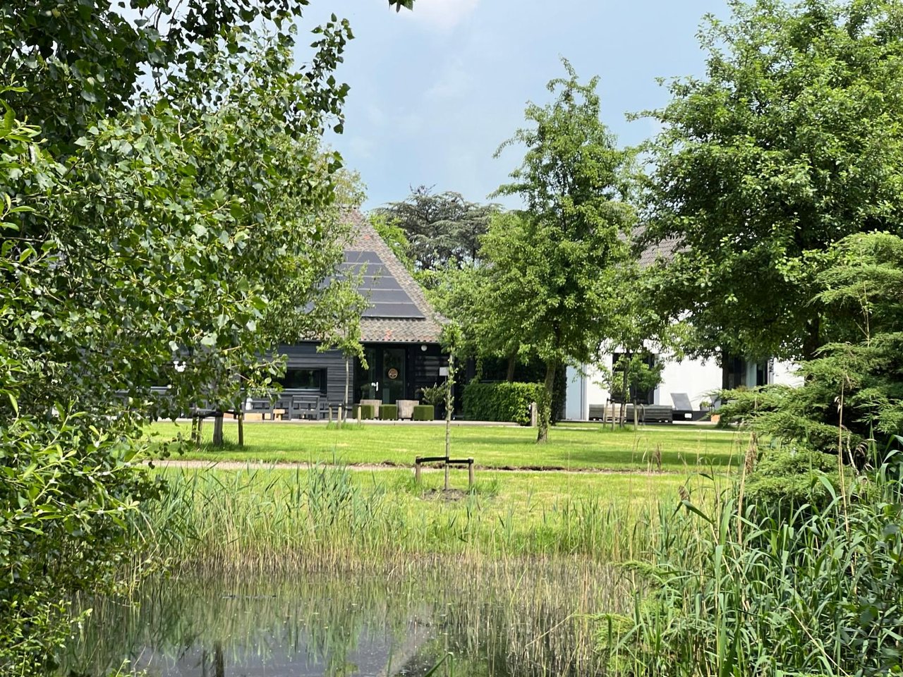 Vijver en Doorzicht