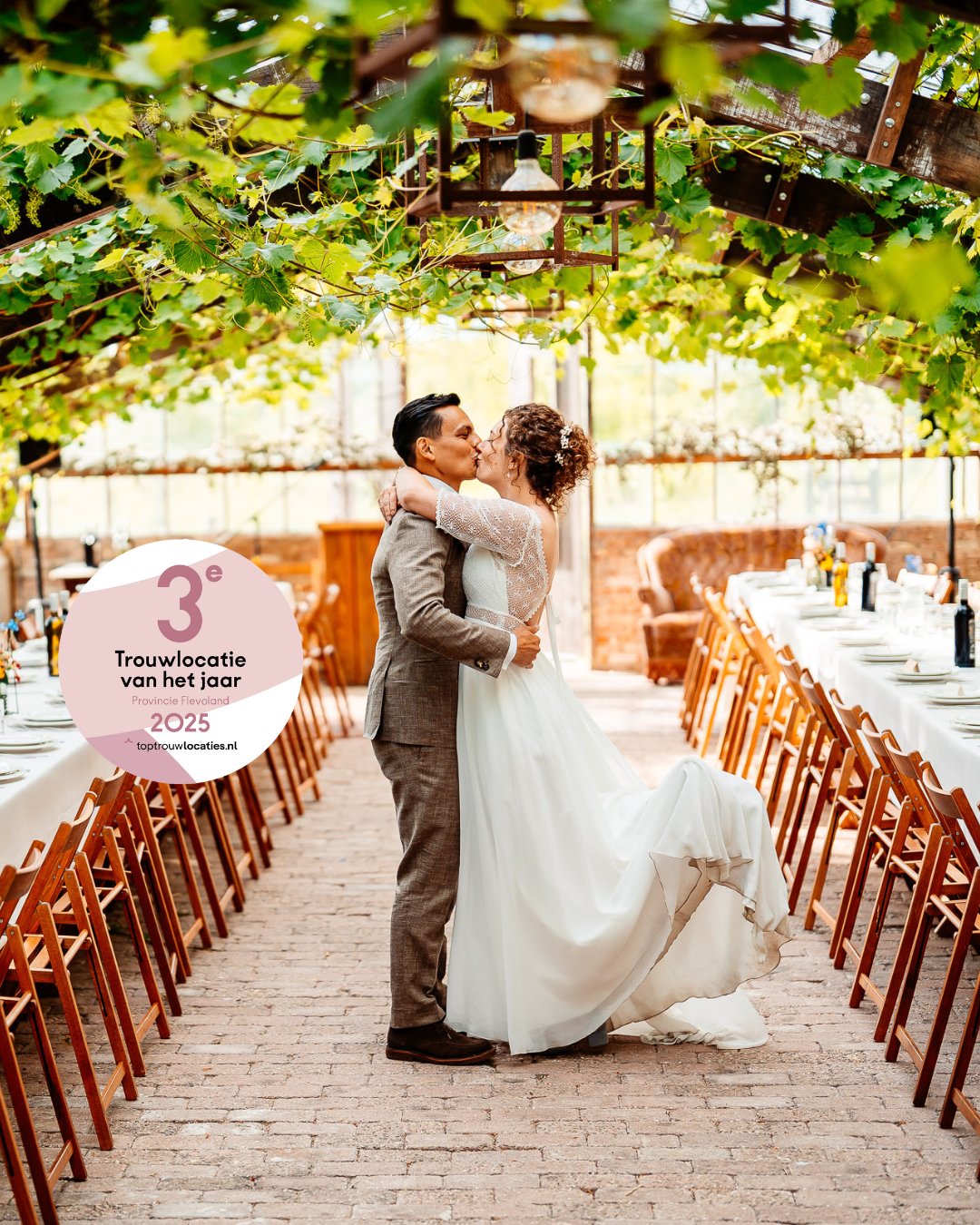 Zonder titel (Instagram-bericht (45)) (8).png