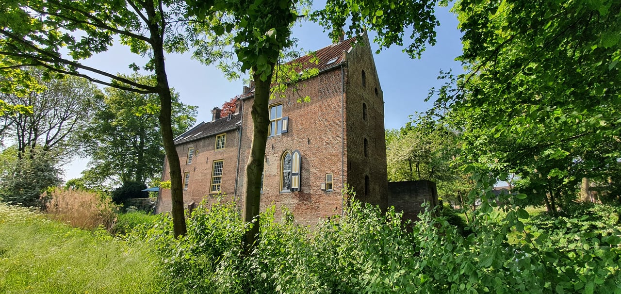 spijker-2.jpg