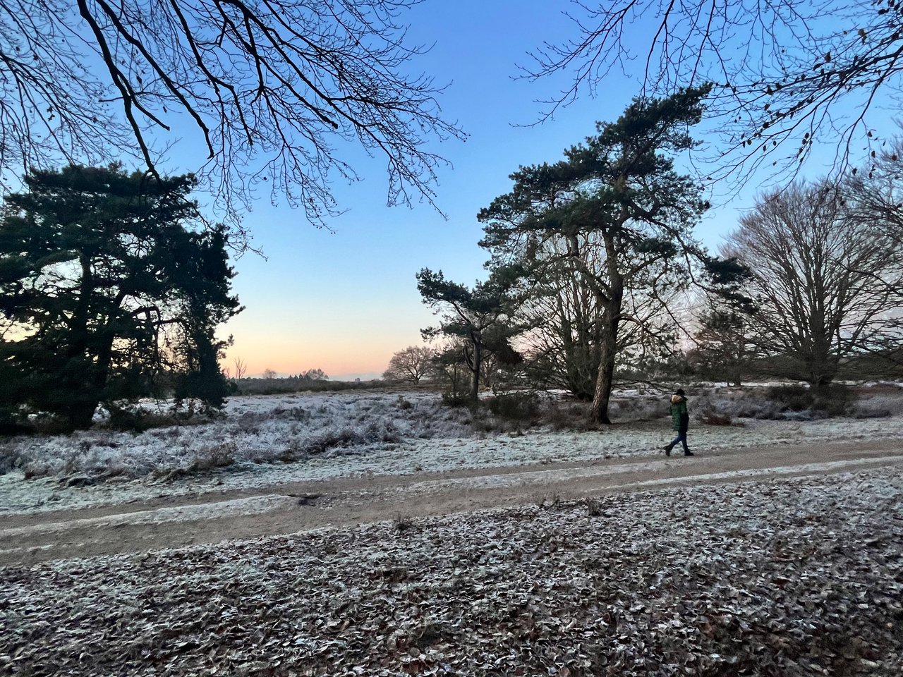 Omgeving Aan de Hei (winter) - Buitenplaats De Hoorneboeg
