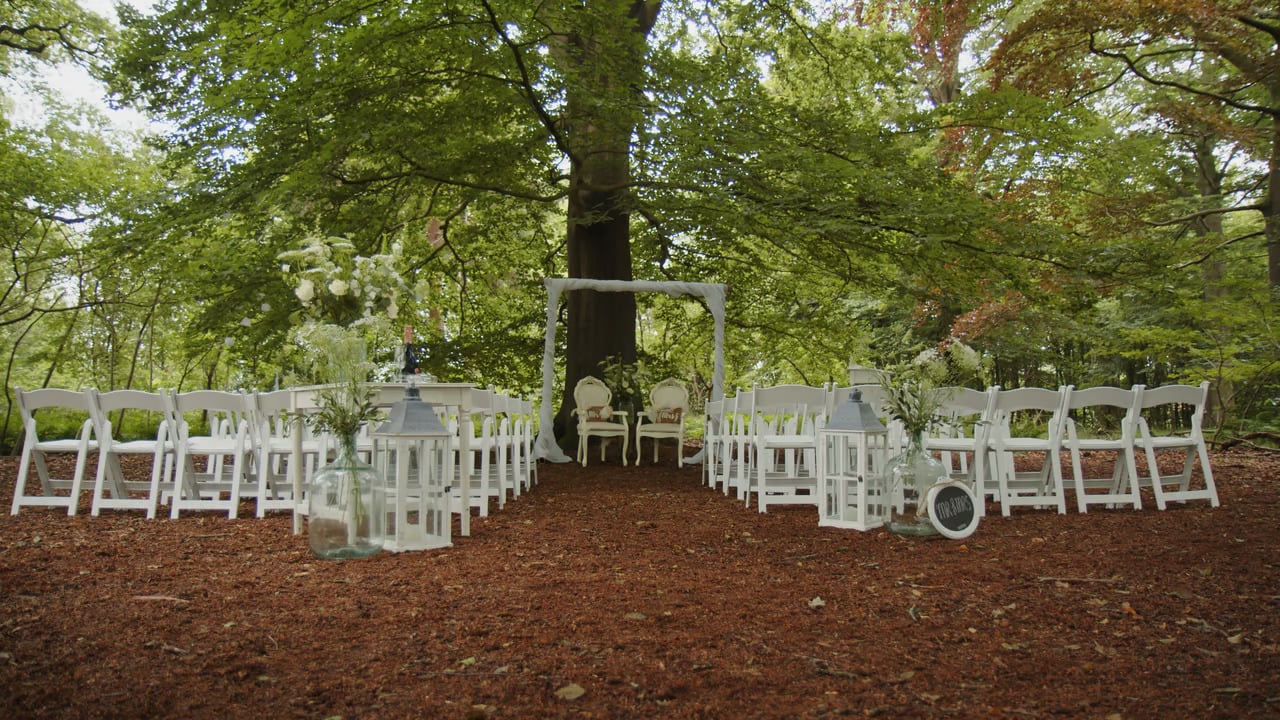 De Mof Bos00003155.jpg
