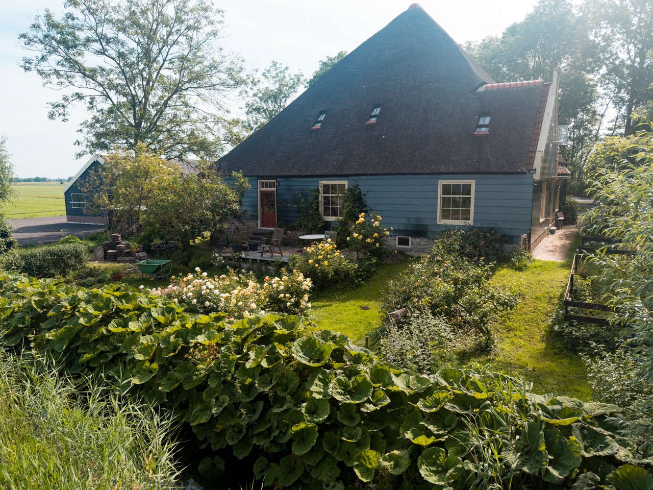 Achtertuin