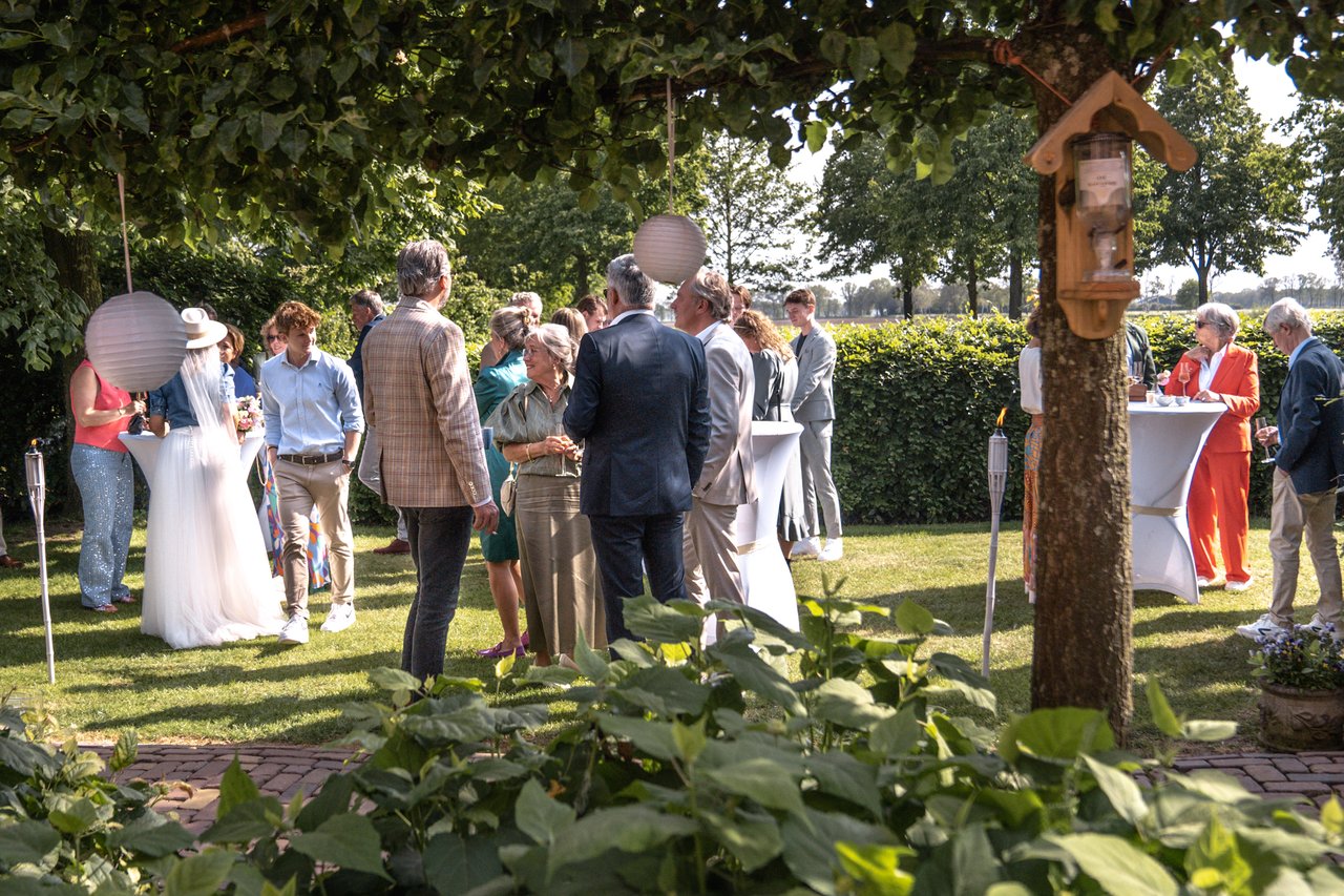 borrel6.jpg