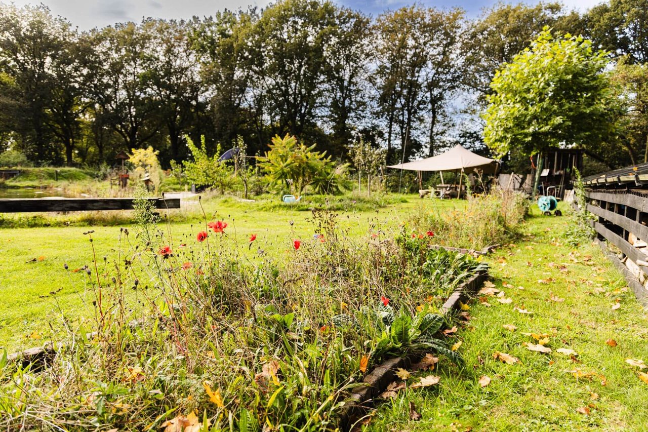 Plek onder de bomen tuin.jpg