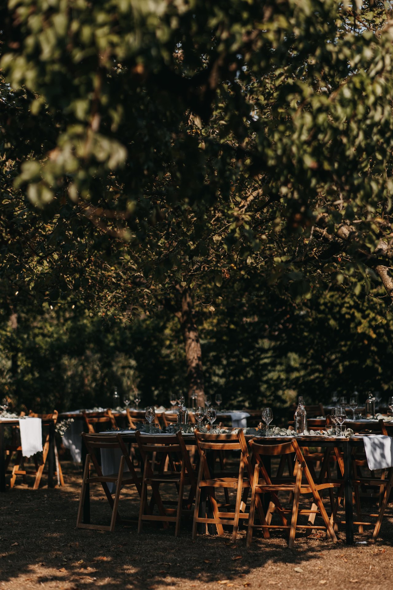 Diner in de boomgaard, het Kasteeleiland