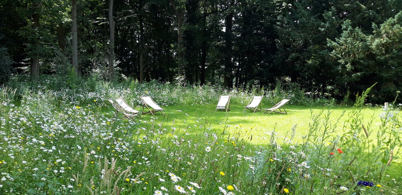 Buitenruimte Aan de Hei - Buitenplaats De Hoorneboeg