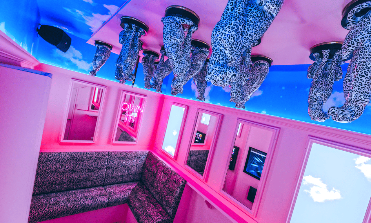 Karaoke kamer cheetah thema