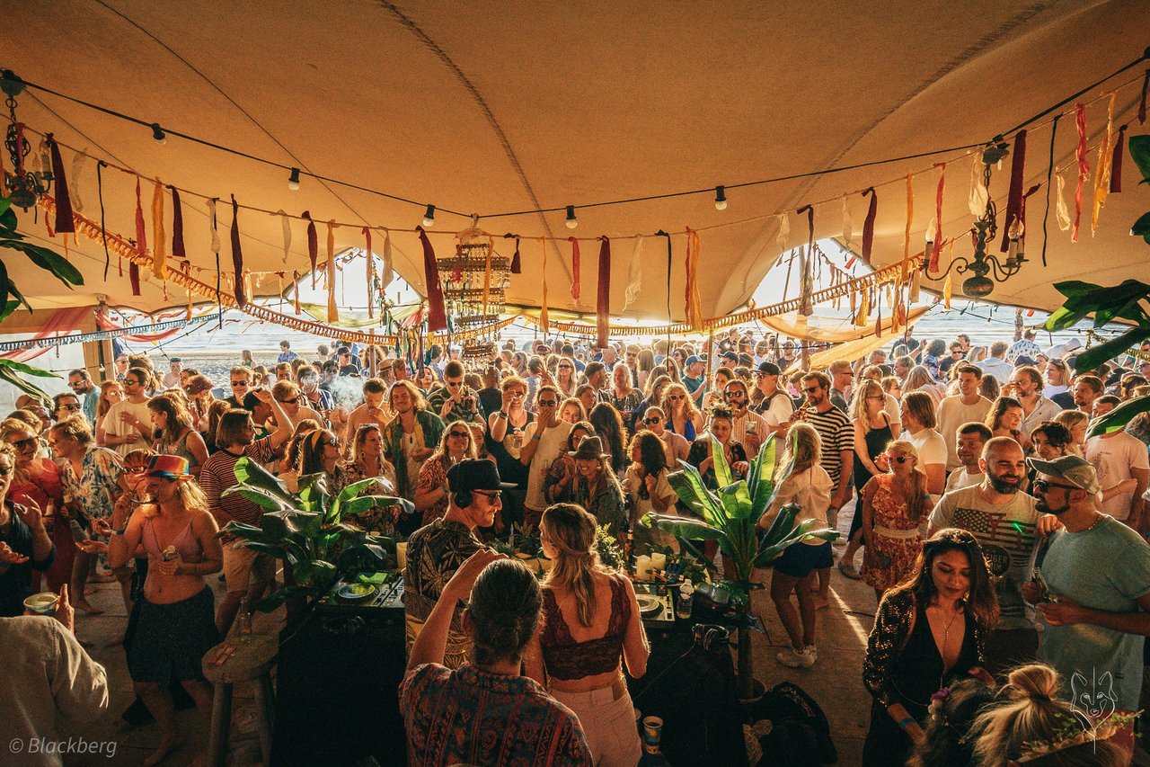 Bodhi Wolvenroelde.JPG