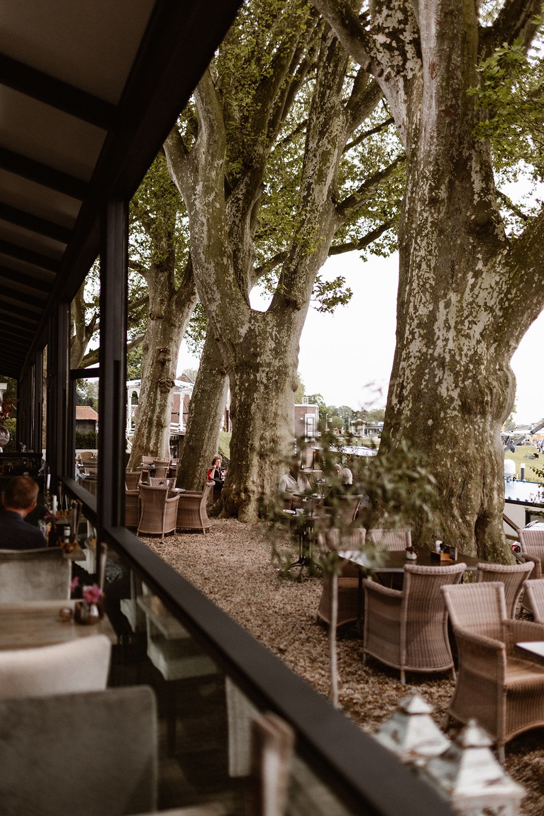 Terras onder onze bomen