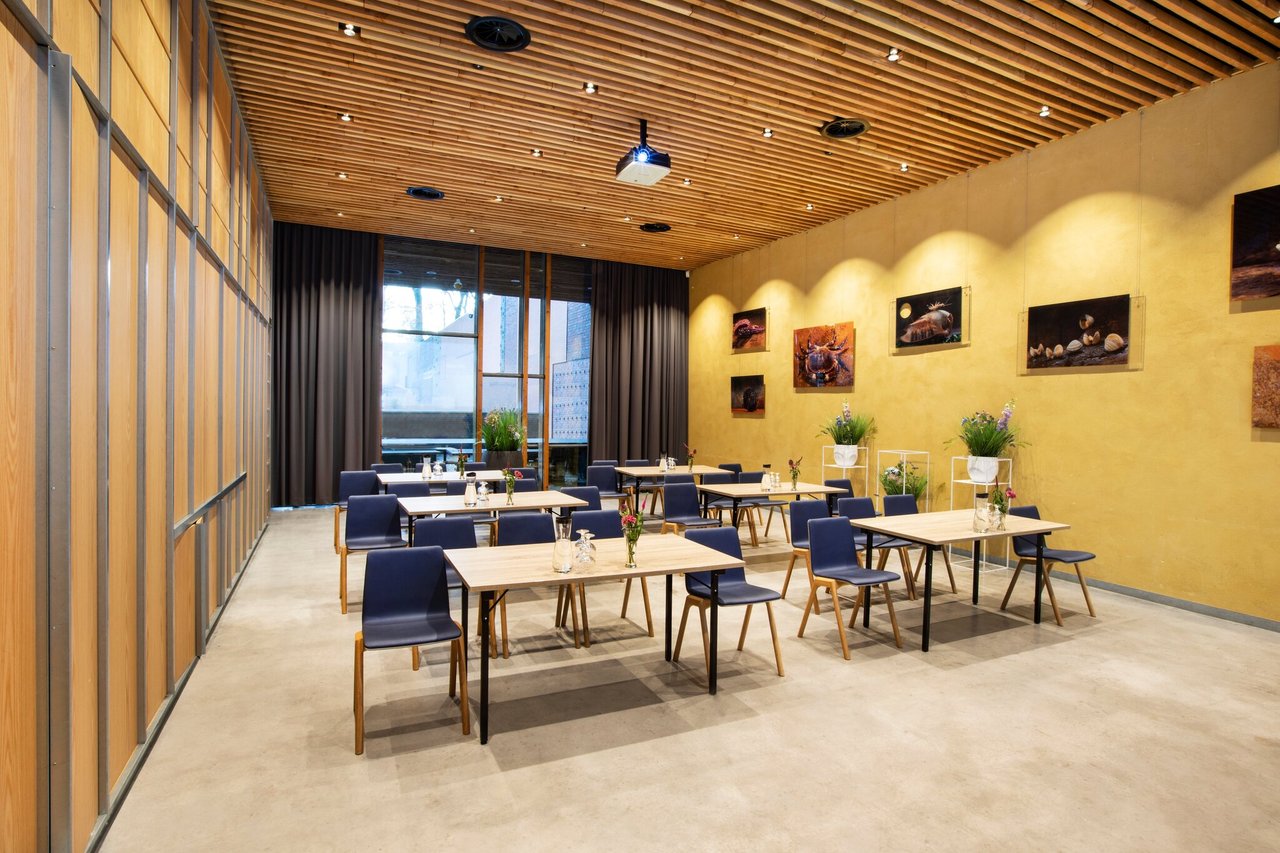Canonkamer | Cabaret