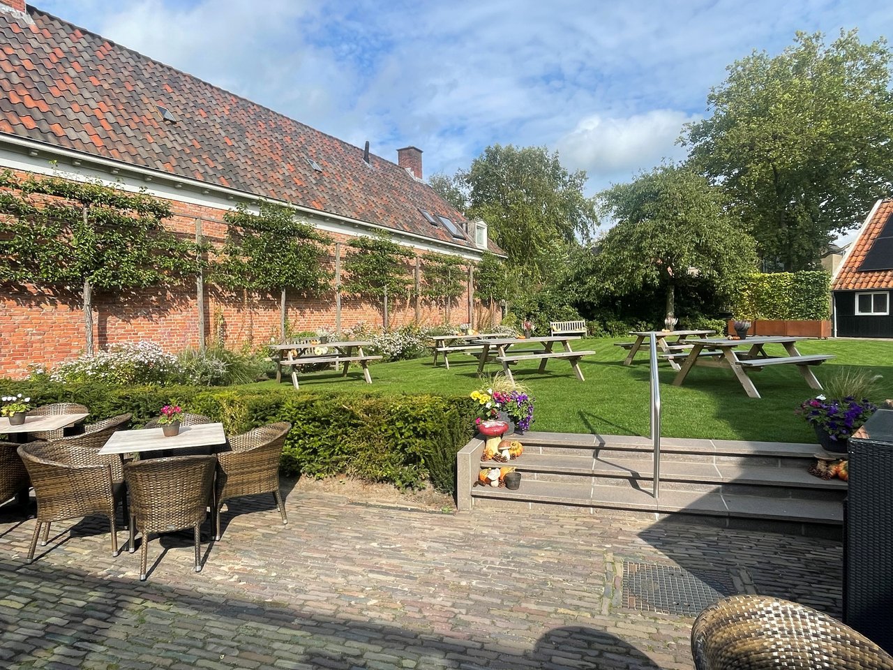 terras.jpg (1)