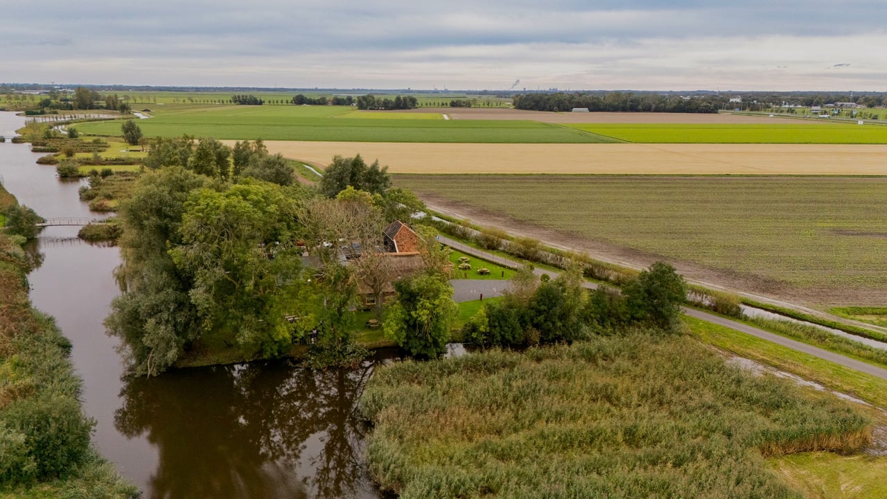 Groene omgeving.jpg