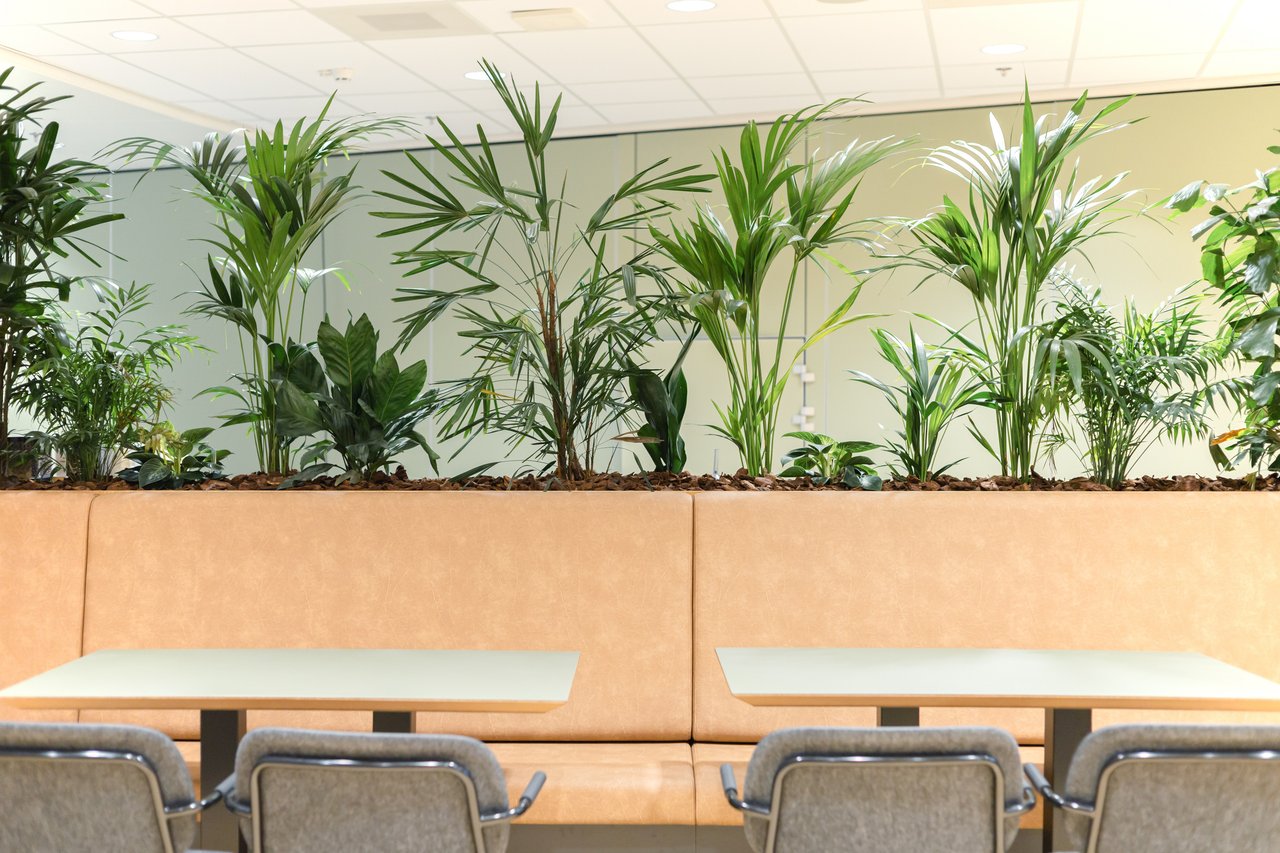 Ontvangstruimte Lobby