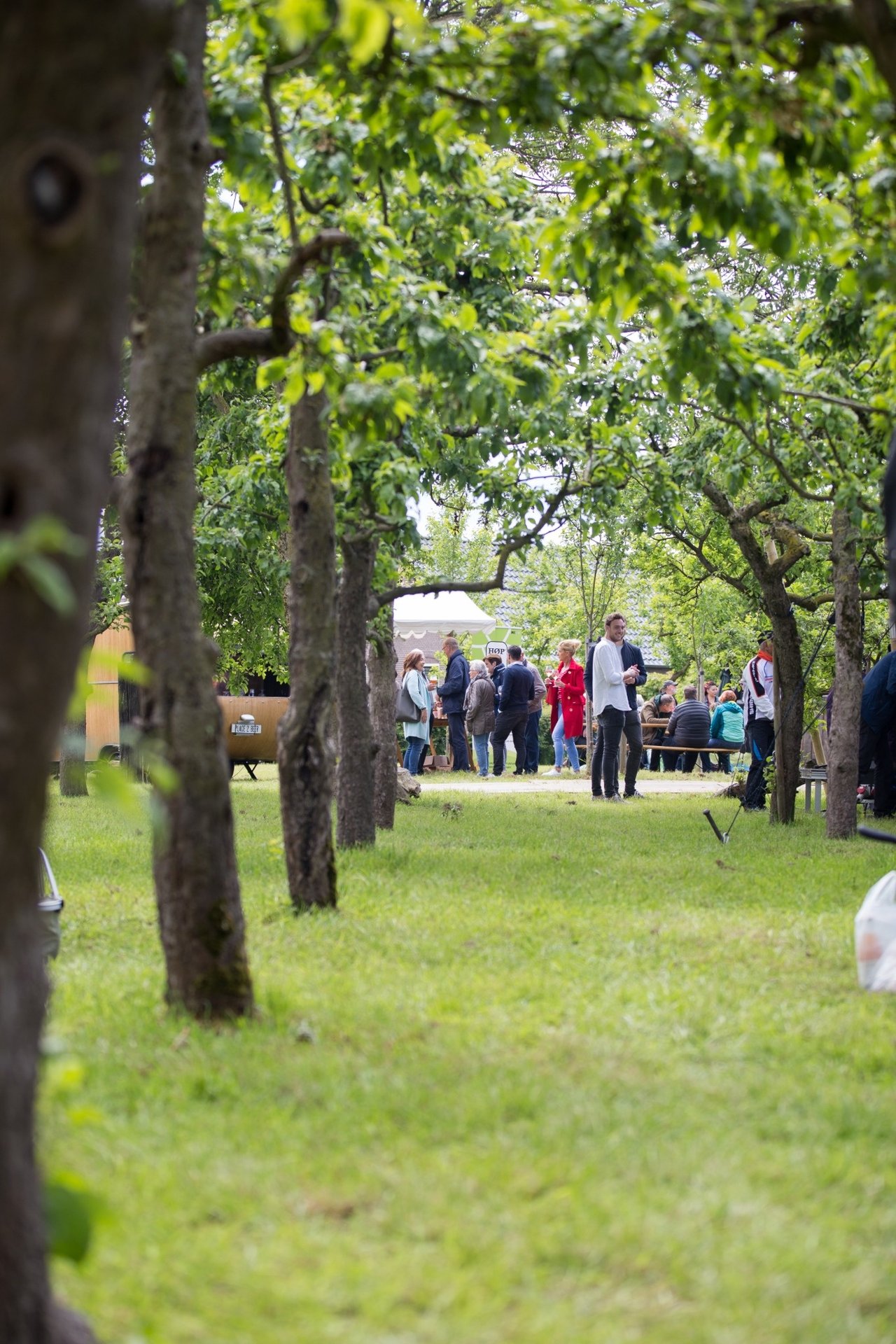 resized_Bloei 2019 (74 van 207).jpg