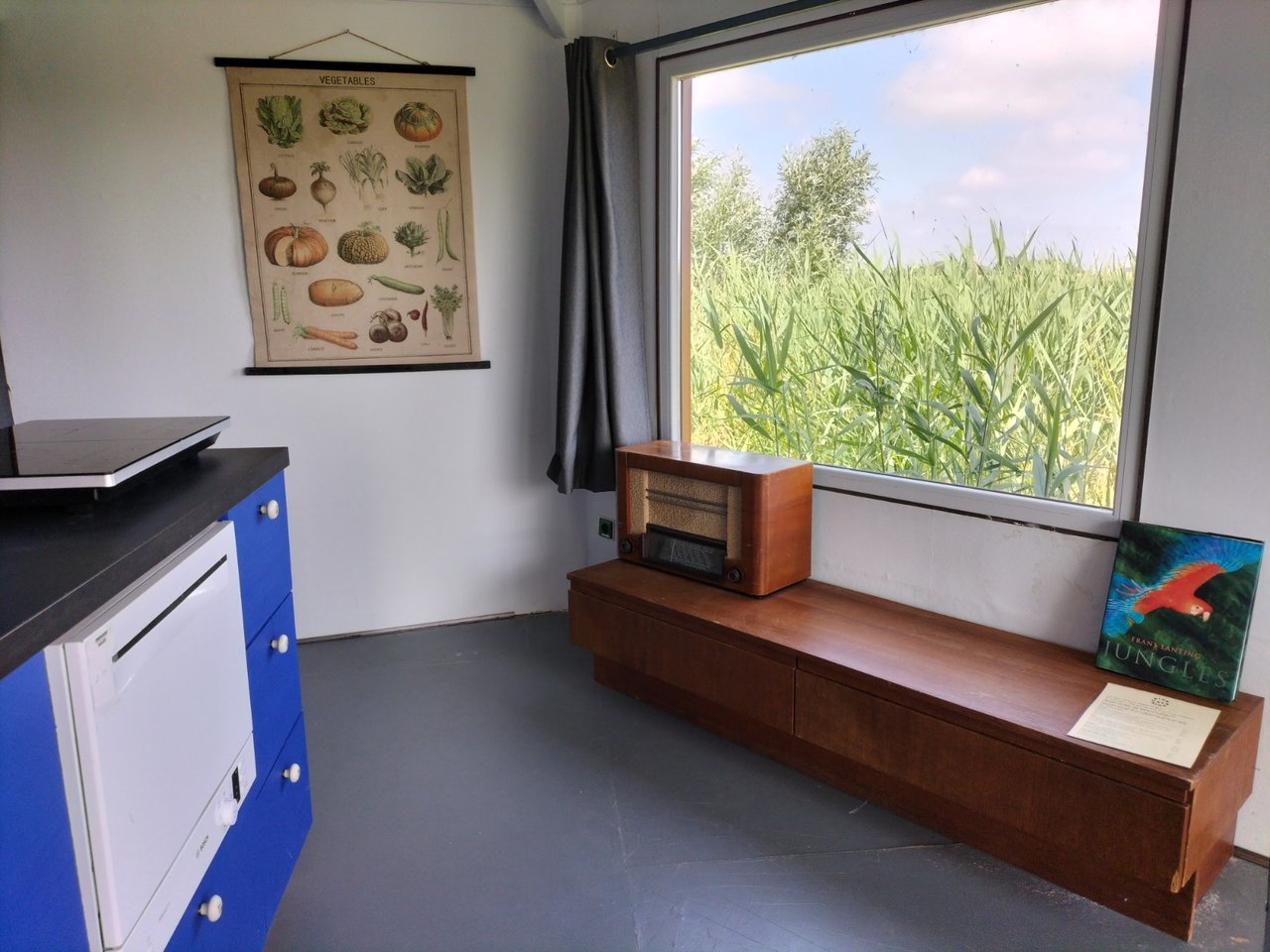 Polderster