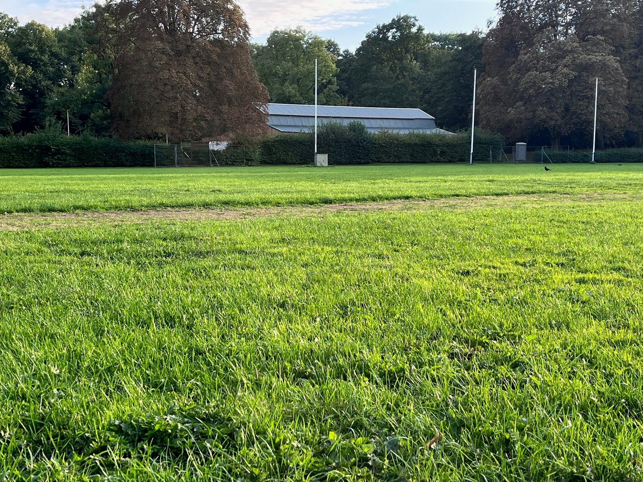 The-Fair-House-sport-spel terrein.jpeg