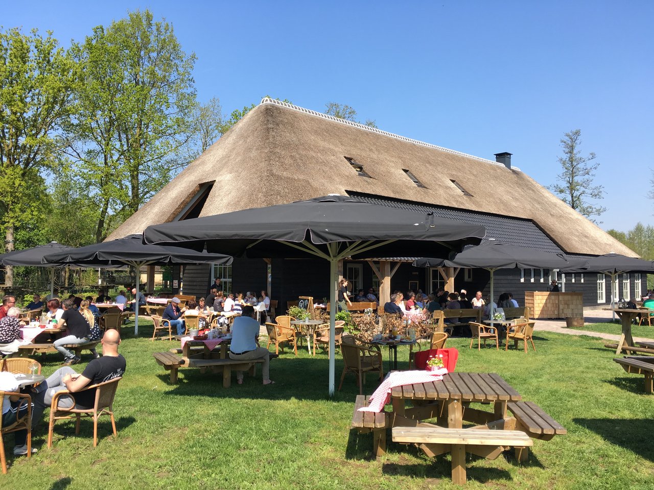 foto april 2019 terras.jpg