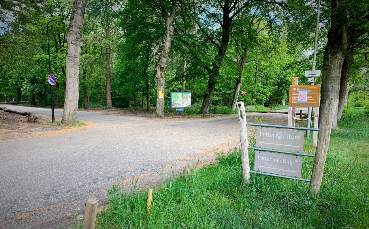 Eindeloos veel bos 