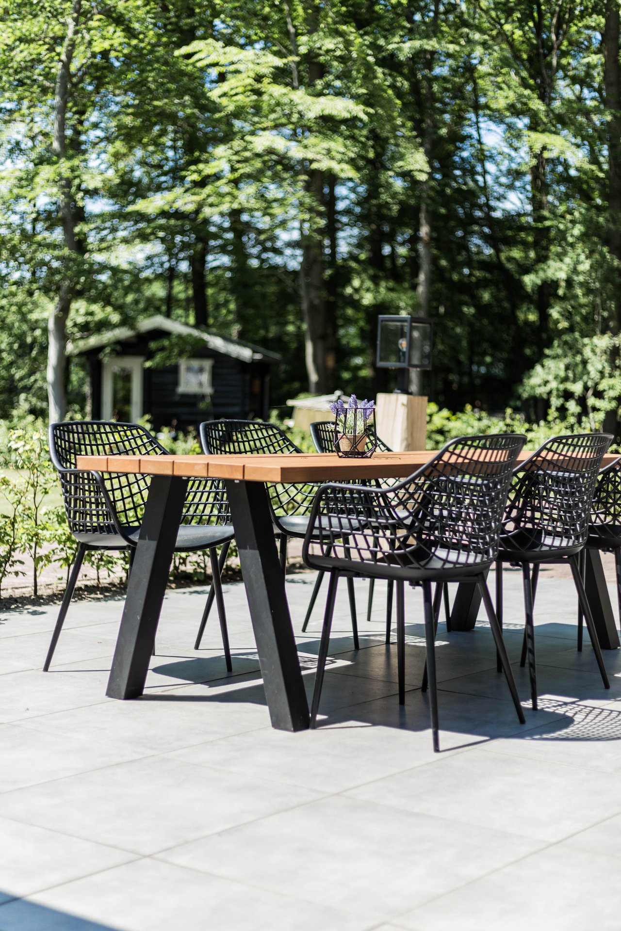 terras voor