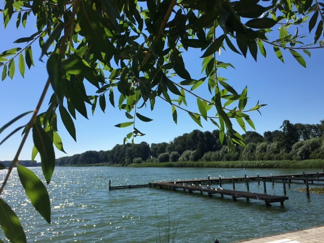 Maarsseveense Plassen