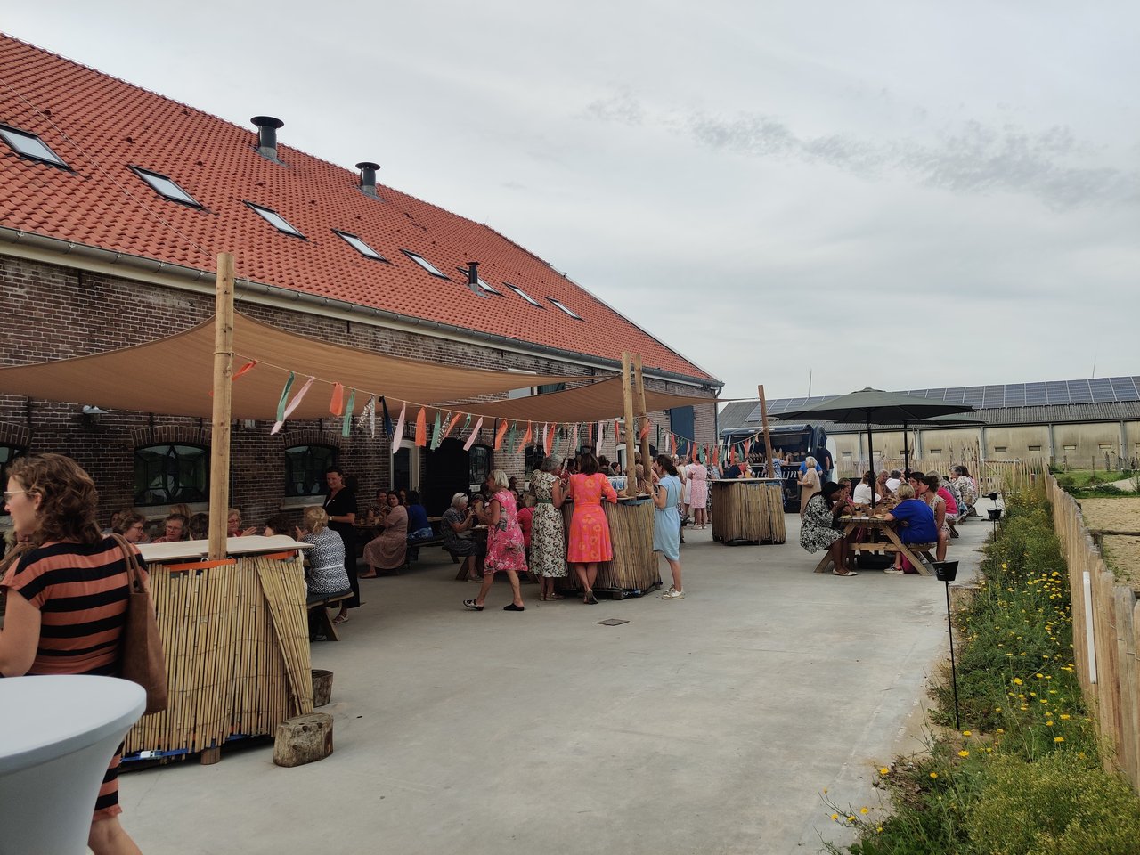 Brielse_Boer_Terras.jpg