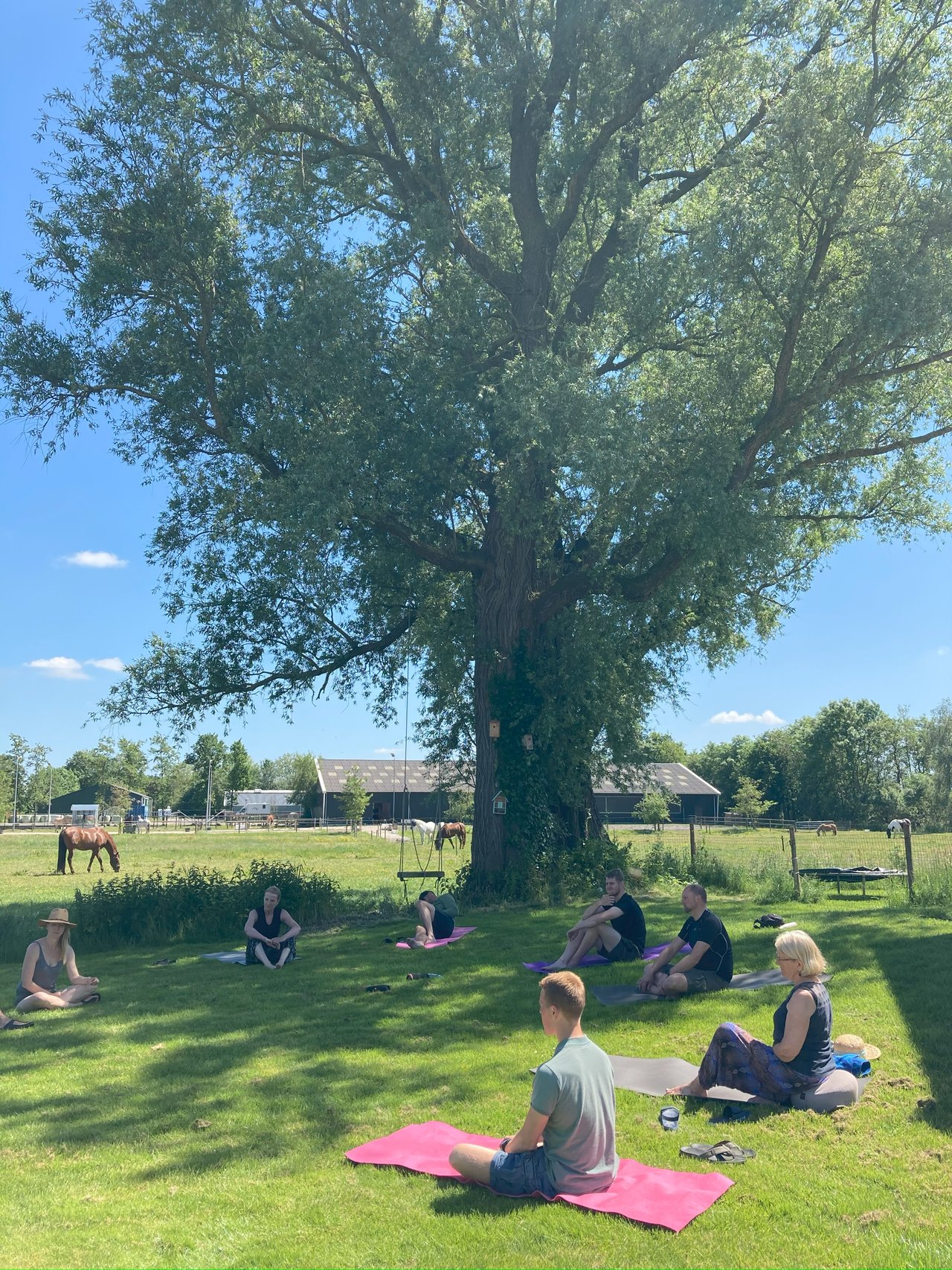 Rebarn yoga buiten.jpeg