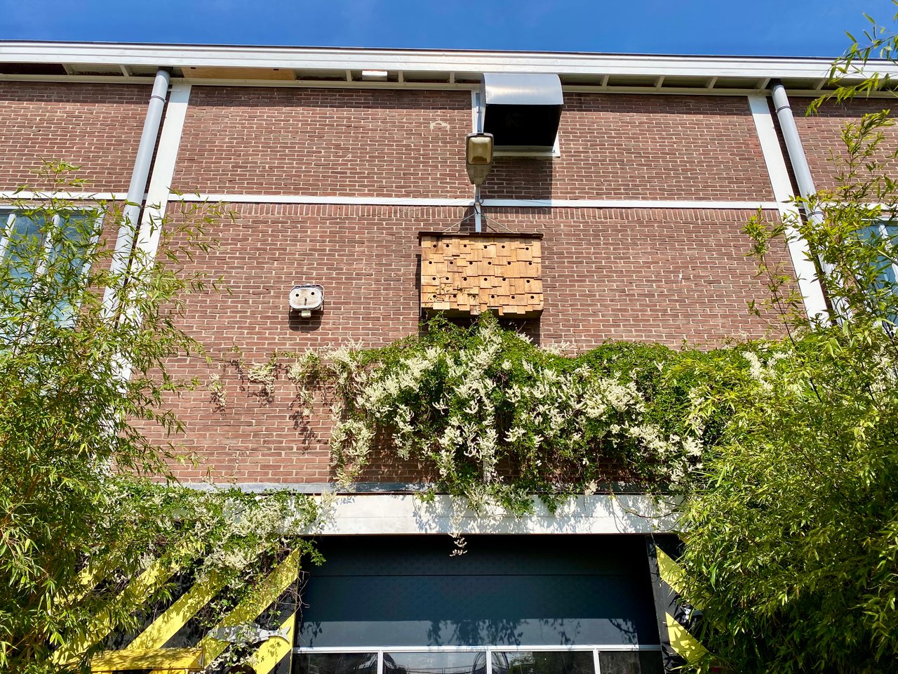 Sociale mussen-woningen aan de gevel