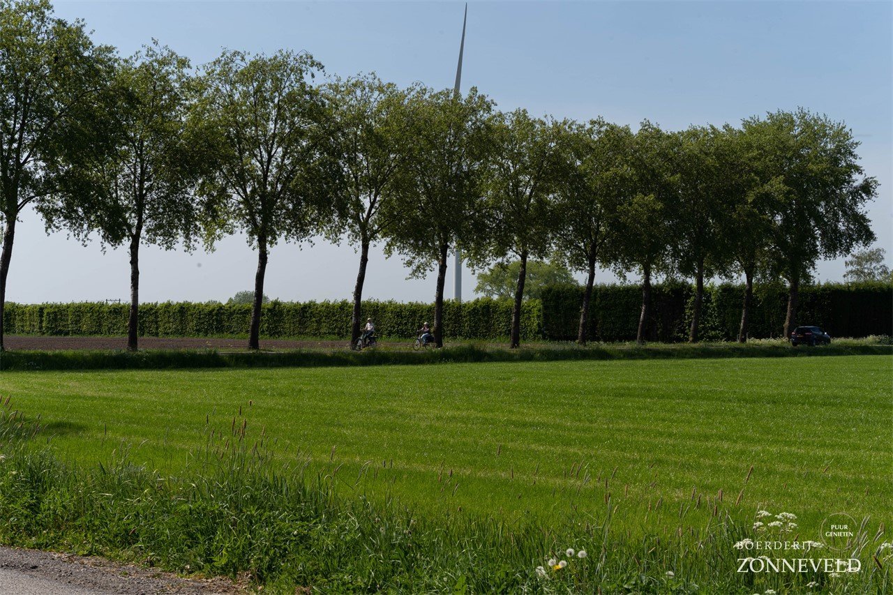 Boerderij Zonneveld - Rossum30.jpg