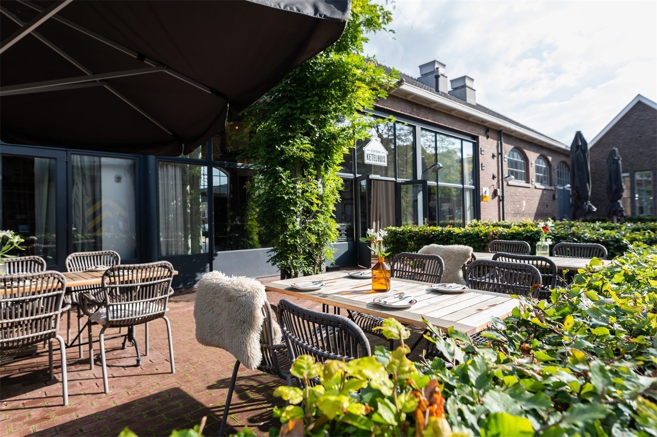 Terras--8-