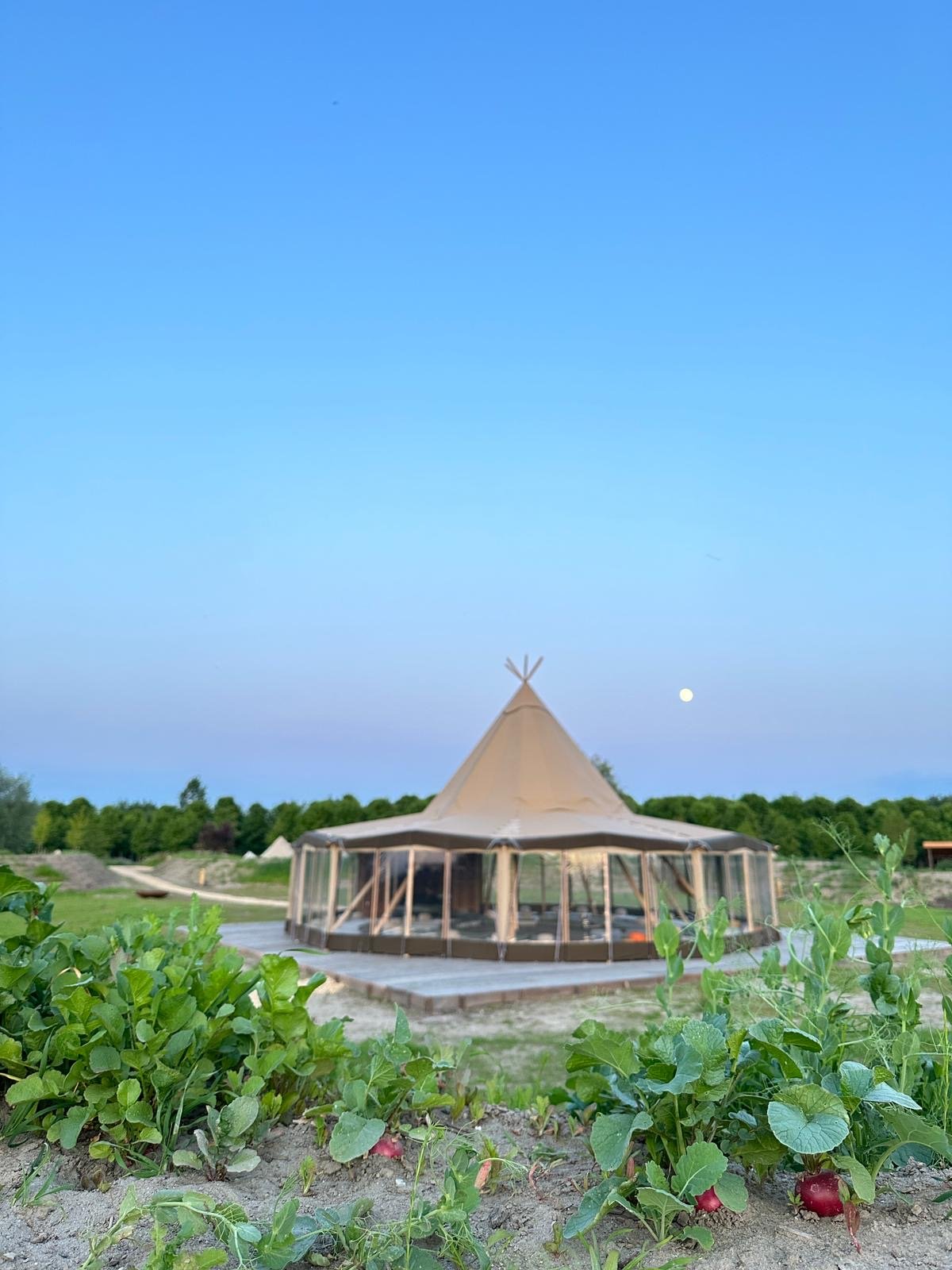 Yūgen Forest Giant Tipi – Avondlocatie voor ceremonies of teamsessies