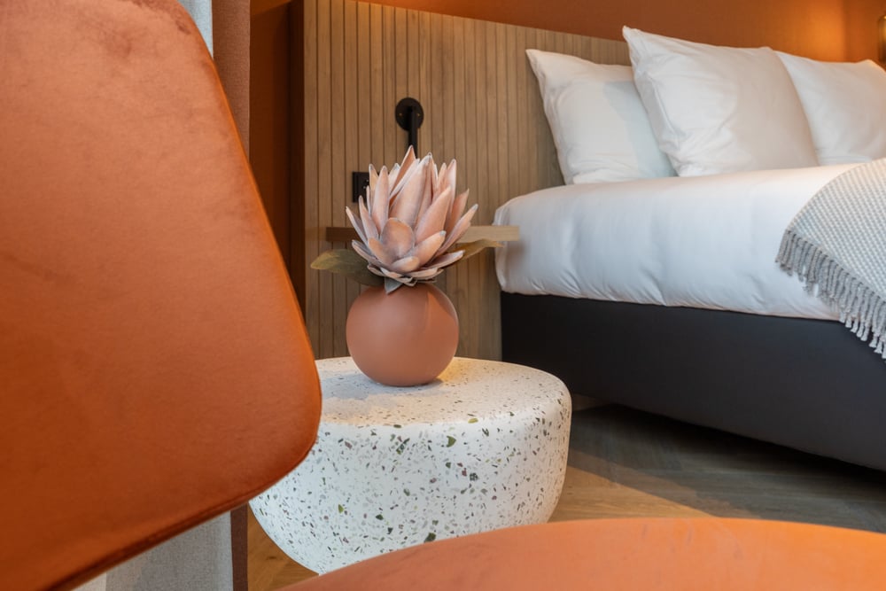 Deluxe kamer plantje.jpg