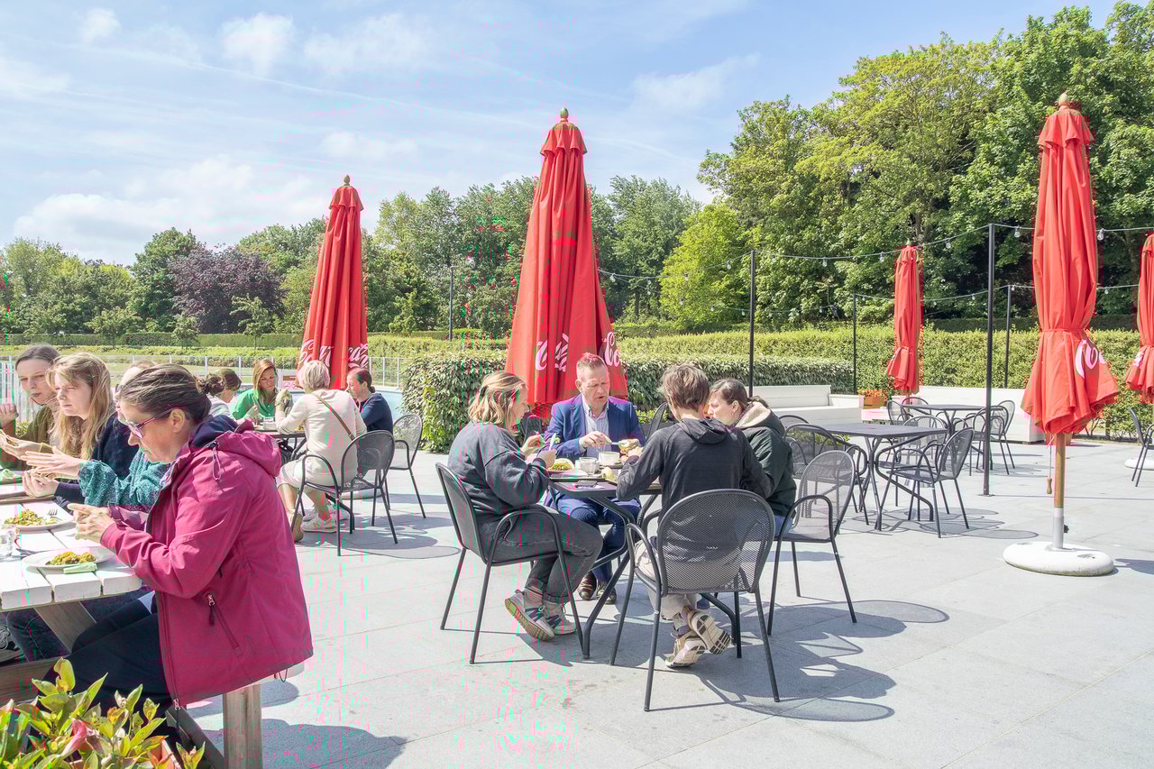 Terras ibis De Haan