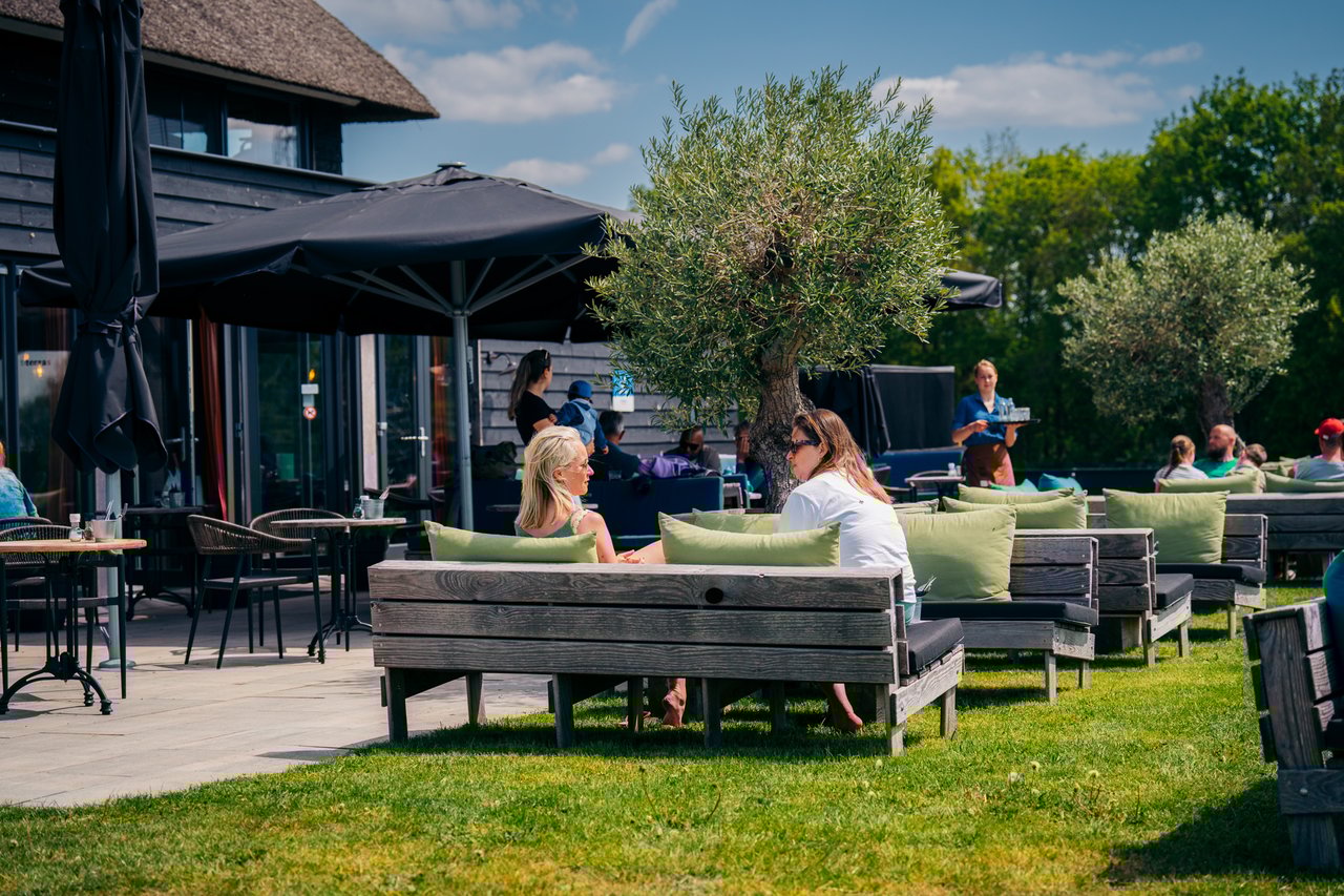 Terras (2)