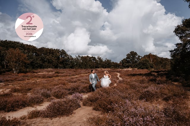 De Zeegser Duinen (1)