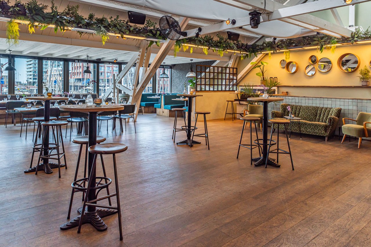 Suzie Q borrel setting