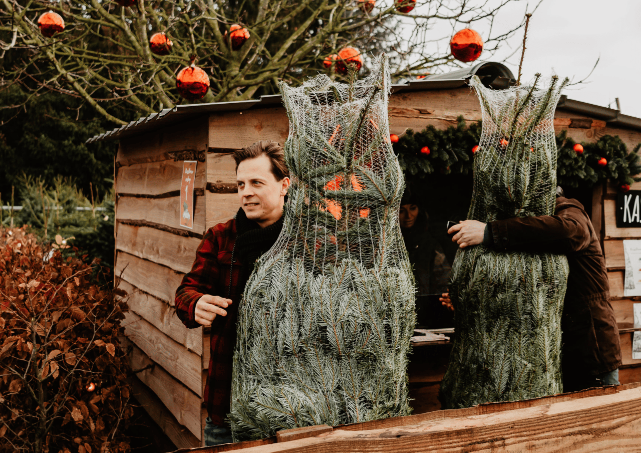 Kerstbomen Tekoop (1)